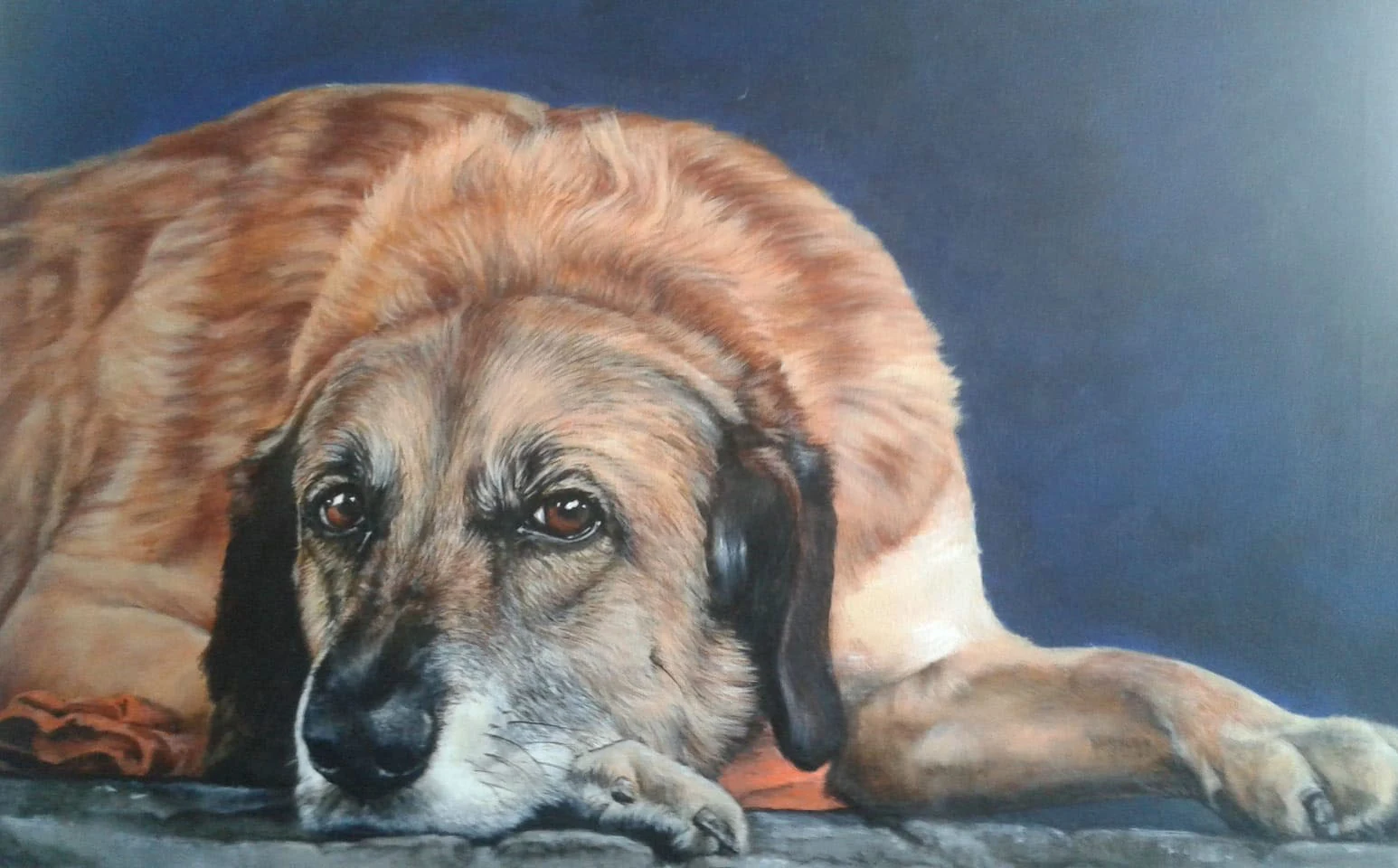 Gemälde eines ruhenden Hundes mit grauer Schnauze auf einer orangefarbenen Decke